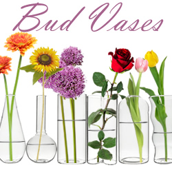 Bud Vases