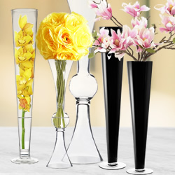 Glass Trumpet Vases