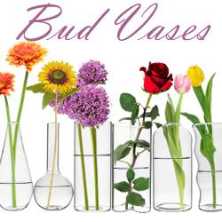 Bud Vases