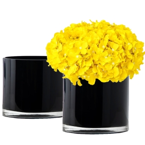 black glass cylinder vases