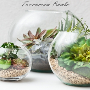 glass bubble bowls