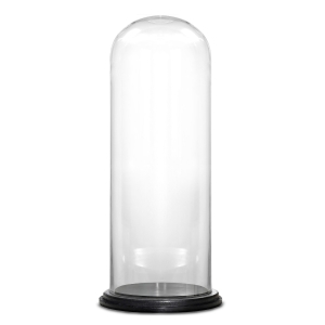 22 inches tall cloche dome