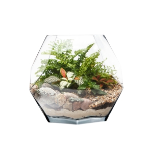 Geometric Faceted Gem Glass Terrarium Vases Bowl H-7" x W-7" Clear (Wholesale Pack of 4)