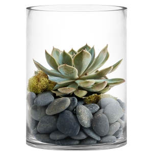 glass cylinder vases 8 inches