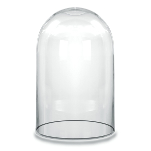 Glass Dome Cloche Decorative Plant Terrarium Bell Jars H-19.5" x D-11.75" Clear