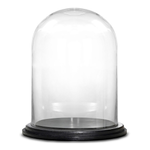 Glass Dome Cloche Decorative Plant Terrarium Bell Jars with Wood Base H-16" x W-13"