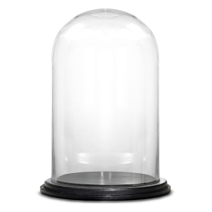 Glass Dome Cloche Decorative Plant Terrarium Bell Jars with Wood Base H-20" x W-12" Clear