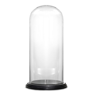 Decorative Glass Dome Cloche Plant Terrarium Bell Jars with Wood Base 15" x 7"