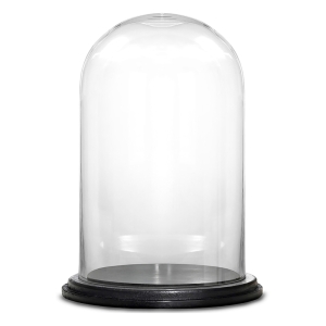 Glass Dome Cloche Decorative Plant Terrarium Bell Jars with Wood Base H-15" x W-10"