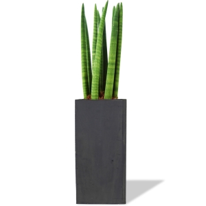 dark brown wood square planter box