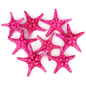 5"-6" Fuchsia Pink Knobby Horned Sea Star Vase Fillers