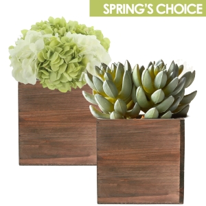 square cube planters for spring