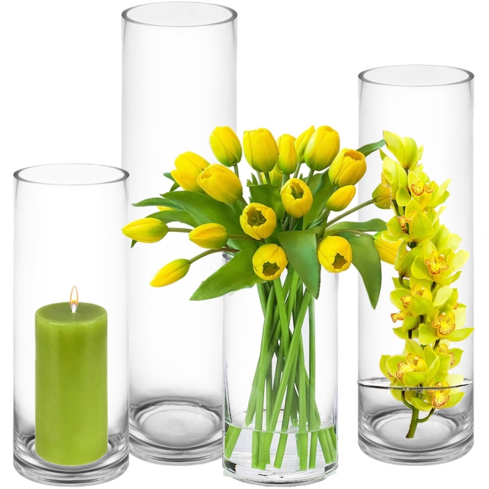 gyldige Hver uge valgfri Stylish Glass Cylinder Vases with 5-Inch Opening in Various Heights |  Perfect for Home Decor and Events