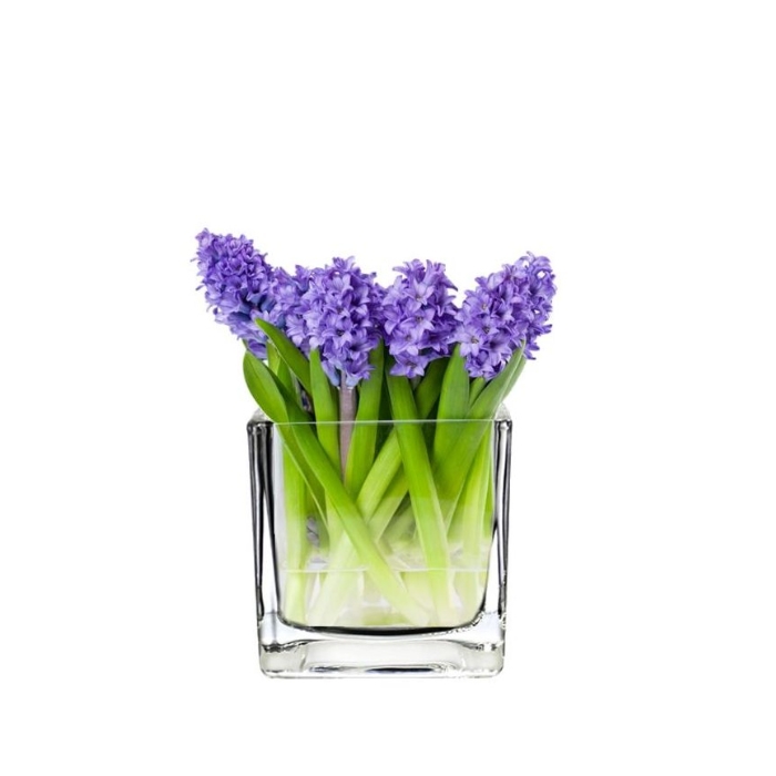 Clear Glass Square 4" Cube Vase Candle Holder Wedding Floral Home Decor 12pcs 