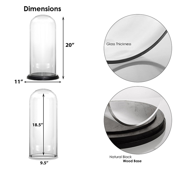 Decorative Clear Glass Cloche Bell Jar Display Case With Wood Base