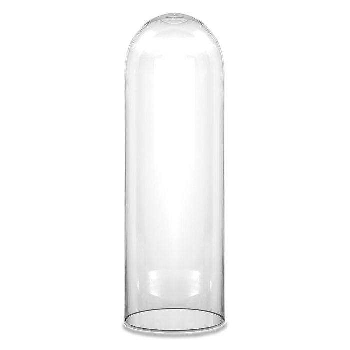 Glass Cloche Jar Display Stand Cover Terrarium Bottle with Wooden Base Vase` 
