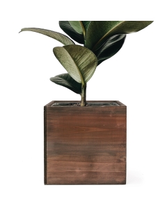 wood cube planter box