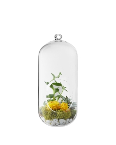 hanging capsule terrarium glass