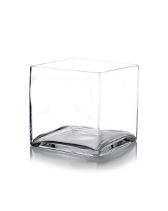Glass Square Cube Vase 8" x 8" Clear