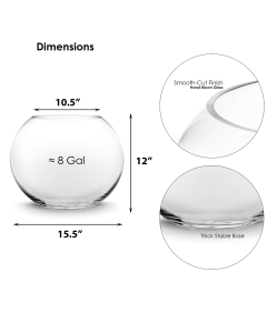 Glass Bubble Round Shape Bowl
