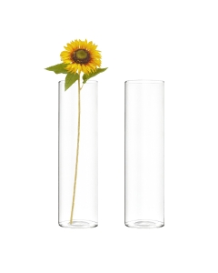 glass cylinder vases, bud vases