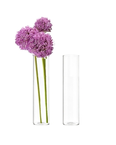 glass cylinder vases, bud vases