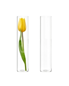 glass cylinder vases, bud vases