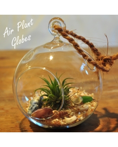 Glass Hanging Orb Plant Terrarium Tealight Candle Holder, Size Options: H-3.5", H-4.5", H-5.5", H-6", H-8"