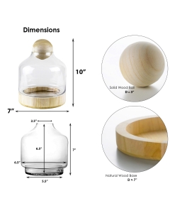 Danish Glass Terrarium Dome Cloche with Ball Stopper and Wood Base H-10" x D-3" Clear (Wholesale Pack of 6)