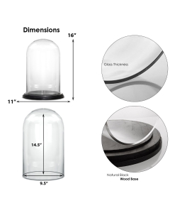 Glass Dome Cloche Decorative Plant Terrarium Bell Jars with Wood Base H-16" x W-10" (Wholesale Pack of 2)