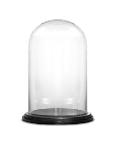 Glass Dome Cloche Decorative Plant Terrarium Bell Jars with Wood Base H-16" x W-10" (Wholesale Pack of 2)