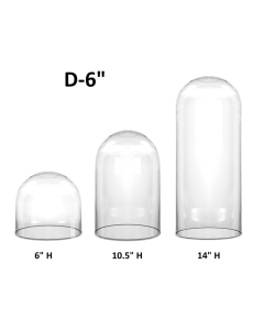 Glass Cloche Display Dome, D-6", Multiple Height