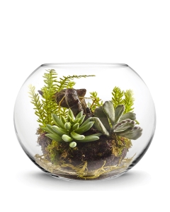 Glass Bubble Round Shape Terrarium Bowl H-10" Opening-6" Clear