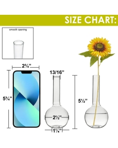 Glass Round Bottom Bud Vase. H-5.5", D-2.5" (Wholesale 72 PCS/Case)