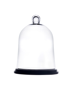 glass cloches dome with black wood base wholesale