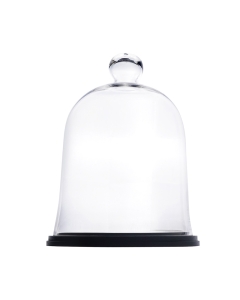 glass cloches dome with black wood base wholesale