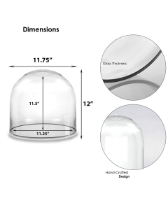Glass Dome Cloche Decorative Plant Terrarium Bell Jars H-12" x W-12" Clear (Wholesale Pack of 2)