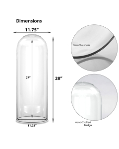 glass cloches domes