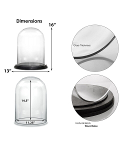 Glass Dome Cloche Decorative Plant Terrarium Bell Jars with Wood Base H-16" x W-13"