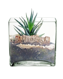 Glass Square Cube Vase 8" x 8" Clear