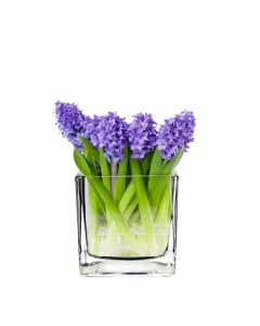 Glass Cube Vase Square Centerpiece Candle Holder 4" x 4" x 4" Clear