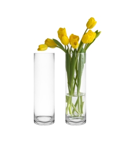 16-inch tall glass cylinder vase, ideal for floral arrangements and centerpieces