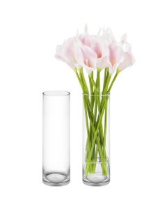 glass cylinder vases 18 inches x 5 inches