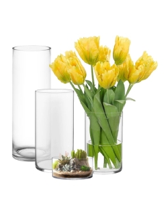 Glass Cylinder Vase H-4" x D-8" Clear (Wholesale Pack of 4)