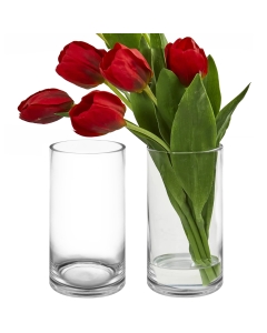 glass cylinder vases 10 inches x 5 inches