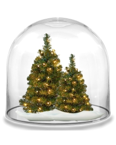 Glass Dome Cloche Decorative Plant Terrarium Bell Jars 10" (Wholesale Pack of 4)