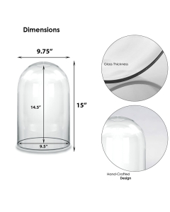 Glass Dome Cloche Decorative Plant Terrarium Bell Jars H-15" x W-10" Clear (Wholesale Pack of 2)