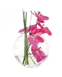 Glass Moon Shape Oval Vases Centerpieces, 4 Different Sizes to Choose-7.5"-Pack of 4