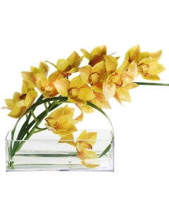 Glass Rectangular Vase Centerpiece Decorative Planter 4" x 12" x 4" Clear