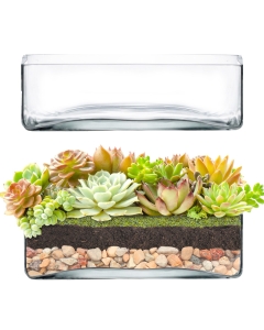 Square Glass Vase Tray 10"x10" x 3.25"